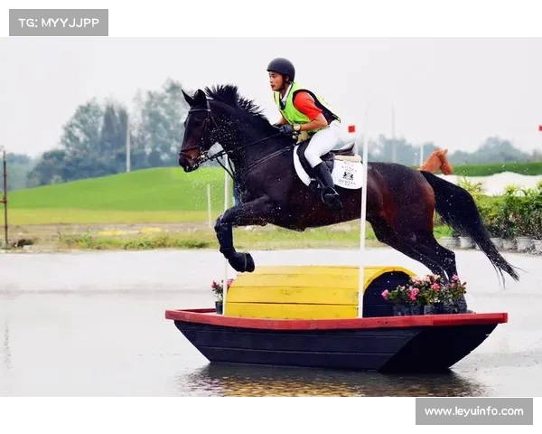 林婕霓荣获场地障碍30至50厘米级别冠军 展现出色骑术与坚韧毅力